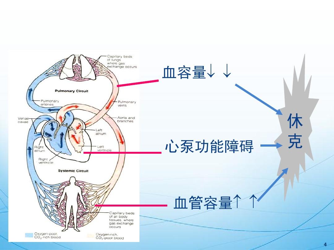 澳门威尼克斯人网站